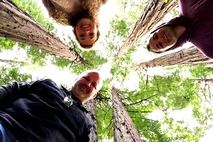 San Francisco & Muir Woods Full Day Small Group Private Tour - Photo 1 of 25